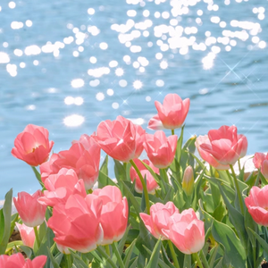 嗯嗯啊啊好舒服快点舔我奶头
